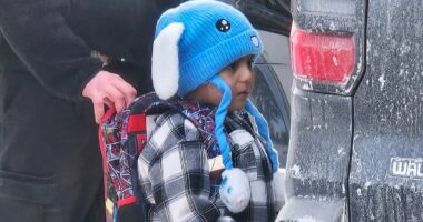Boy, 5, snatched off Minnesota street by ICE is now in Texas facility
