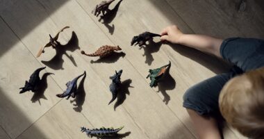 Boy, 9, sues friend, 11, for injuring his finger with toy dinosaur at day care