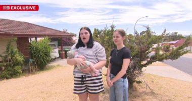 Brick hurled at Perth mum misses newborn by centimetres