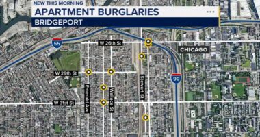 Bridgeport, Chicago crime: Residential burglary suspects carry out at least 8 apartment break-ins, police department warns