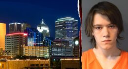 Brother killed after teen becomes 'enraged' over video game, stabs sibling: police