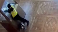 CCTV shows moment Louvre heist thieves smash into display cases