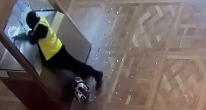 CCTV shows moment Louvre heist thieves smash into display cases