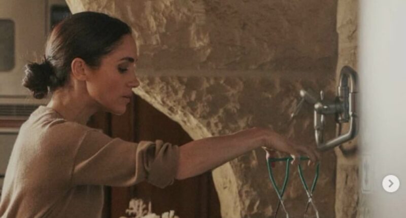 CNN anchors say Meghan's jam is 'something to say goodbye to' in 2025