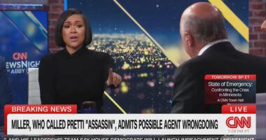 CNN guest scolded for alleged 'attack' on co-panelist Kevin O'Leary
