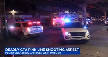 CTA Pink Line shooting: Pedro Villarreal charged with murder of Raymond S. Harrison Jr. in Loop, Chicago on train: police