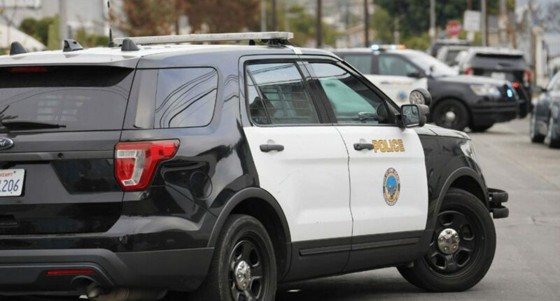 California driver allegedly kills 2 more people while out on bail for previous fatal crash