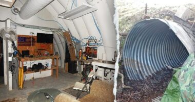 California man arrested after fortified underground bunker found with weapons cache