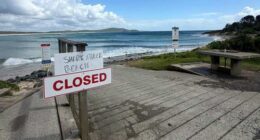 Call for cull after spate of shark attacks 'misinformed', expert says