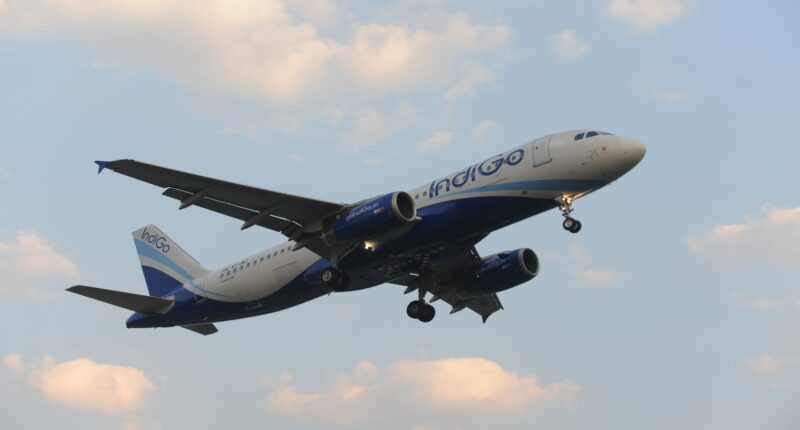 Can new airlines cure all that ails India's aviation sector?