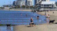People enjoying a warm sunny morning at the Albert Park beach on an extreme hot day in Melbourne. 7 January 2026. Photo: Eddie Jim.