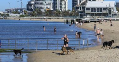People enjoying a warm sunny morning at the Albert Park beach on an extreme hot day in Melbourne. 7 January 2026. Photo: Eddie Jim.