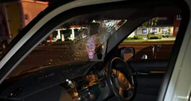 Cars smashed after bricks thrown from Melbourne overpass