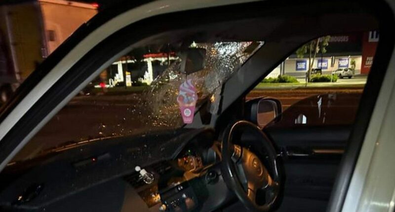 Cars smashed after bricks thrown from Melbourne overpass