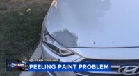 Chicago-area car owner unable to get extended warranty from Hyundai for peeling paint problem