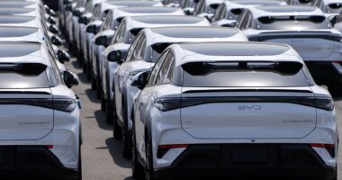 China’s BYD to overtake Tesla as world’s top EV seller for first time