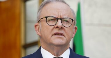 China's dramatic new move that could cost Aussie farmers $1billion