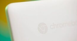 Chromebooks train schoolkids to be loyal customers, internal Google document suggests