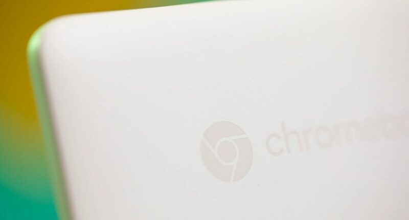 Chromebooks train schoolkids to be loyal customers, internal Google document suggests