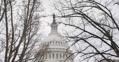 Congress is debating the possible consequences for ICE and even Noem after Renee Good's killing