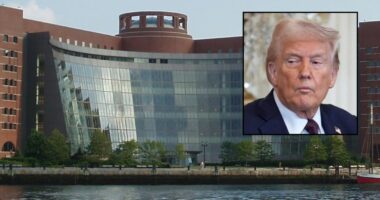 'Congress went to great lengths': Trump administration cannot strip billions in funding from NIH research grants, appeals court affirms