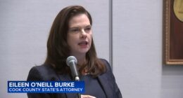 Cook County State's Attorney Eileen O'Neill Burke has prioritized human trafficking cases during 1st year in office