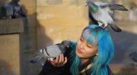Council could feed contraceptives to pigeons plaguing city centre