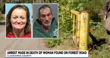 'Crammed into a plastic container': Man who killed his girlfriend, used 15-year-old son's help to dump her remains in the forest learns his fate, authorities say