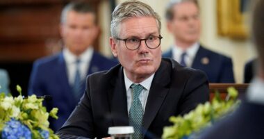 DANIEL HANNAN: Starmer's threat to ban Elon Musk's X isn't really about Grok Photoshopping people into bikinis. It's a slide into censorship - this is why it would be a disaster for Britain