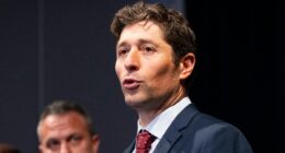 DAVID MARCUS: FBI must not let ICE agent become the next Derek Chauvin