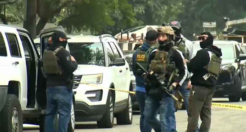 DHS alleges criminal illegal alien 'rammed law enforcement' in California operation, agent fired weapon