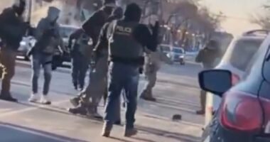 DHS officer appears to CLAP as Alex Jeffrey Pretti was killed