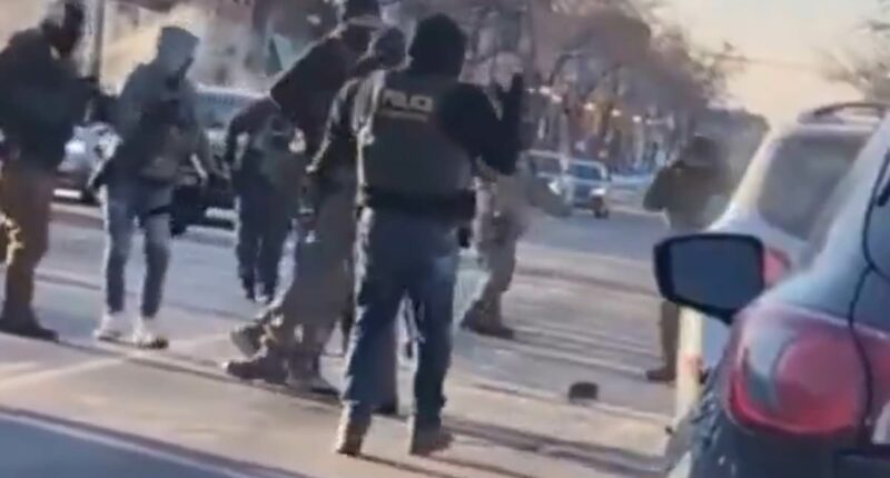 DHS officer appears to CLAP as Alex Jeffrey Pretti was killed