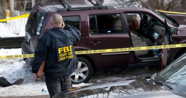 DOJ says 'no basis' for civil rights investigation into Minneapolis ICE officer killing