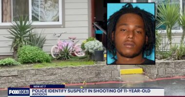 'Dad, why can't I see?' Man shot 11-year-old girl in the head as she sat in the passenger seat of her father's SUV in their driveway, police say