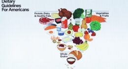 Daily Mail graphic explains new food pyramid... as Trump overhauls Americans' diets