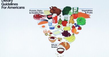 Daily Mail graphic explains new food pyramid... as Trump overhauls Americans' diets