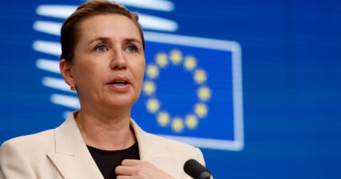 Danish prime minister says a US takeover of Greenland would mark the end of NATO