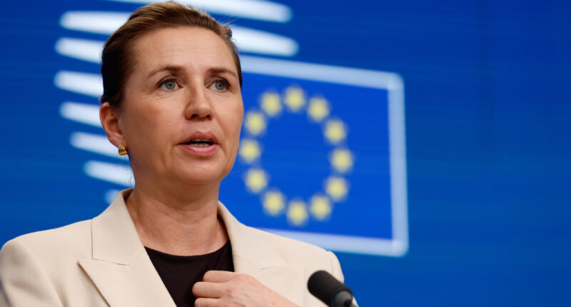 Danish prime minister says a US takeover of Greenland would mark the end of NATO