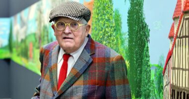 David Hockney says moving the Bayeux Tapestry to Britain is 'madness'