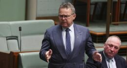 Member for Flynn, Colin Boyce, speaks on the Repeal Net Zero Bill 2025, in the House of Representatives at Parliament House in Canberra on Monday 1 September 2025.