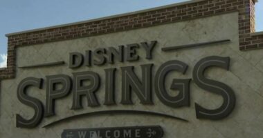 Dead body reported at Walt Disney World, sheriff’s office says