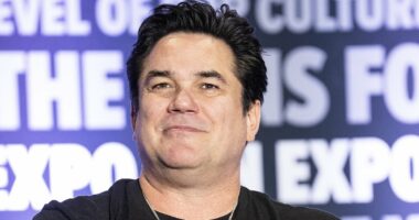 Dean Cain says Alex Pretti 'wasn't just being a peaceful protester'