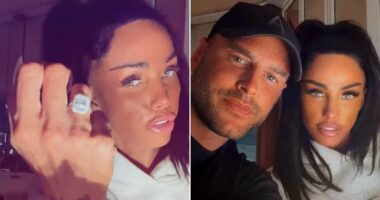 Deeply cynical whispers about timing of Katie Price's engagement