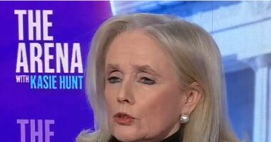 Dem Rep. Dingell: 'Not Enough' for Democrats to Be Anti-Trump