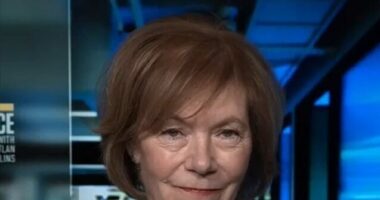 Dem Sen. Smith on Gov't Shutdown Over ICE: Can't 'Provide More Funding to an Agency That Is Completely Out of Control'