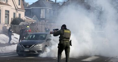 Democrat seeks to ban Trump's 'authoritarian' ICE agents from becoming state cops