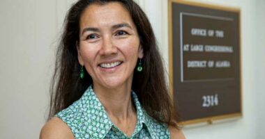 Democrats see a path to win the Senate. It's narrow and has little room for error