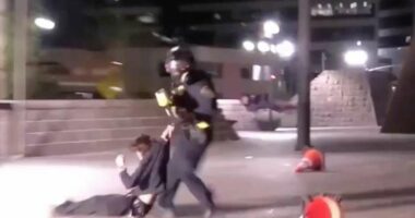 Demonstrator injured after federal agent fired projectile from close range during California protest