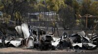 Despicable act is slammed as bushfires decimate  Victoria